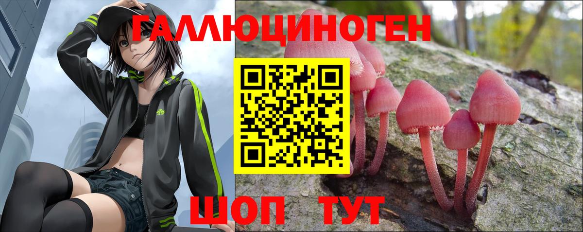 Галлюциногенные грибы прущие грибы  Вход с VPN  хочу наркоту  Каменск-Шахтинский 