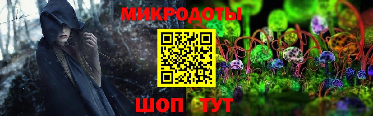 Галлюциногенные грибы GOLDEN TEACHER Каменск-Шахтинский